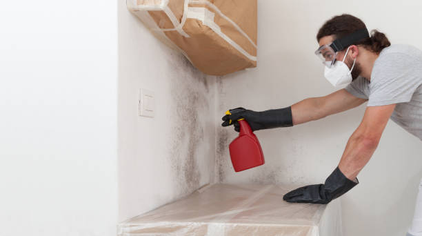 Professional Mold Testing technician working in Westphalia, MD