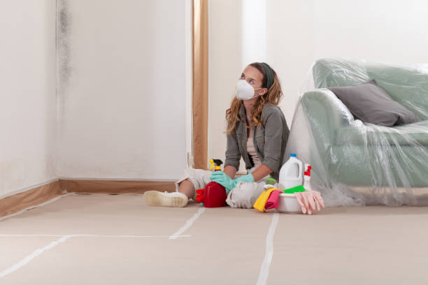 Reliable Mold Testing contractor in Westphalia, MD by WQB Mold Removal